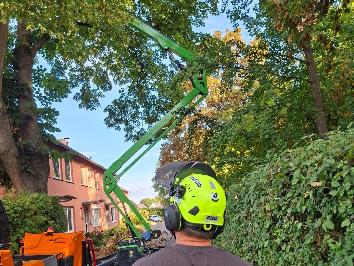 LeafLab bei Baumpflegearbeiten mit Hubarbeitsbühne auf einem Grundstück