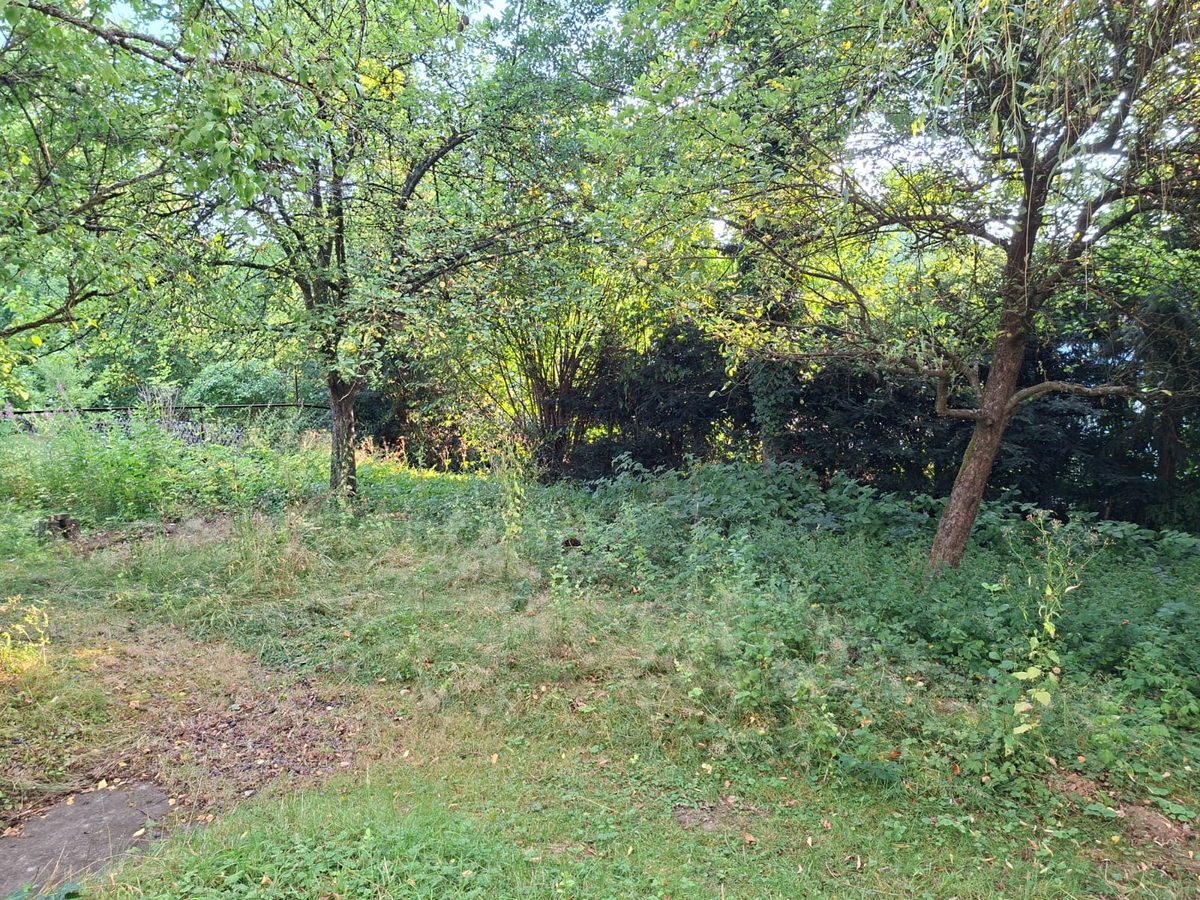 Stark bewachsener Gartenbereich vor der Freistellung durch LeafLab Gartenpflege